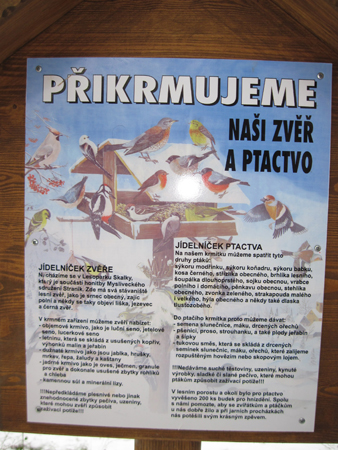 zima2011 (15)